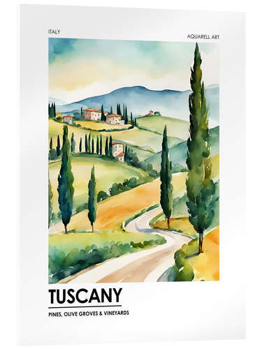 Acrylic print Tuscany - Pines, Olive Groves and Vineyards