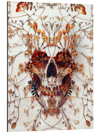 Stampa su alluminio Delicate Skull - Ali Gulec