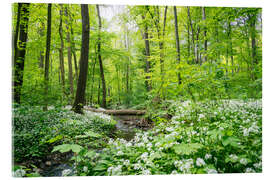 Akryylilasitaulu Forest - A green oasis