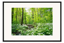 Gerahmter Kunstdruck Der Wald - Eine grüne Oase