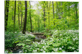 Tableau en plexi-alu Forest - A green oasis