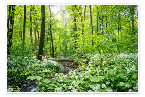 Póster Forest - A green oasis