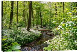 Leinwandbild Wald mit Bärlauchblüte und Fluss