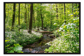 Gerahmter Kunstdruck Wald mit Bärlauchblüte und Fluss
