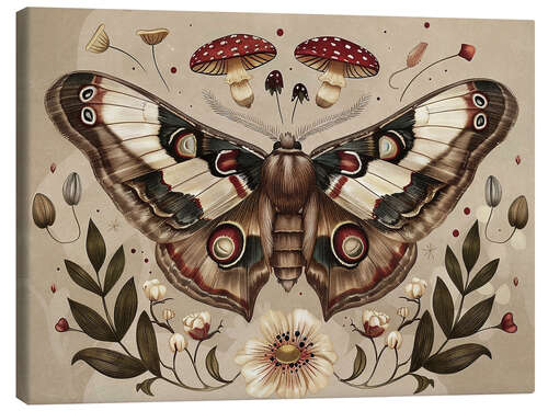 Stampa su tela Vintage Moth