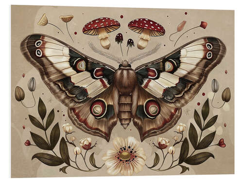 Foam board print Vintage Moth