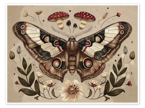 Poster Vintage Moth