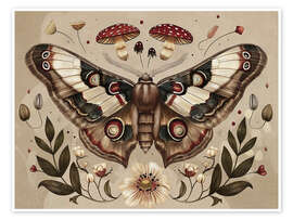 Juliste Vintage Moth