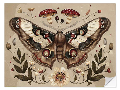 Wall sticker Vintage Moth