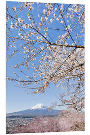 Stampa su PVC Charming view of Mount Fuji during cherry blossom season