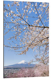 Magnettafel Charmanter Blick auf den Fuji bei Kirschblüte