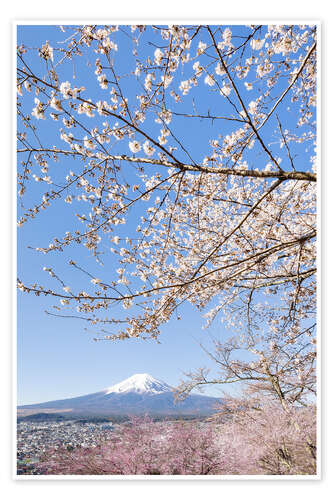 Poster Charmanter Blick auf den Fuji bei Kirschblüte