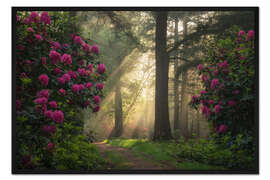 Gerahmter Kunstdruck Frühlingszauber - Sonnenstrahlen und Rhododendren