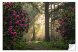 Naklejka na ścianę Spring magic - Sunrays and rhododendrons