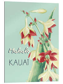 Gallery print Mahalo Kauai