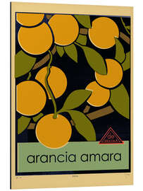 Aluminium print Arancia amara (bitter orange)