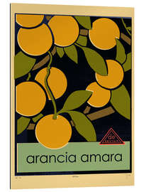 Gallery print Arancia amara (bitter orange)