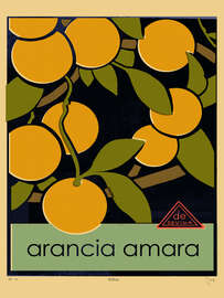 Magnettafel Arancia amara (Bitterorange)