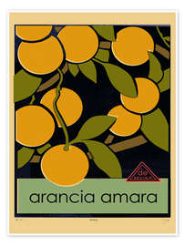 Poster Arancia amara (Bitterorange)