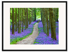 Gerahmter Kunstdruck Bluebells-Pfad
