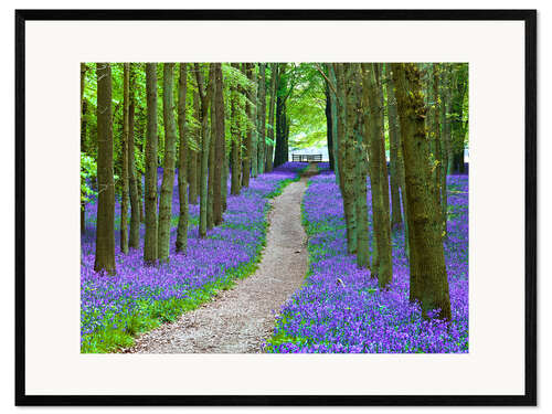 Kehystetty taidepainatus Bluebells Path