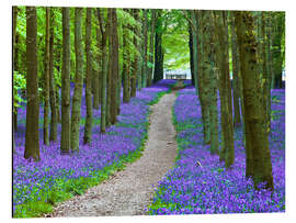 Magnettafel Bluebells-Pfad