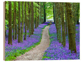 Puutaulu Bluebells Path