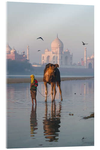 Akrylbillede Taj Mahal sunrise, India