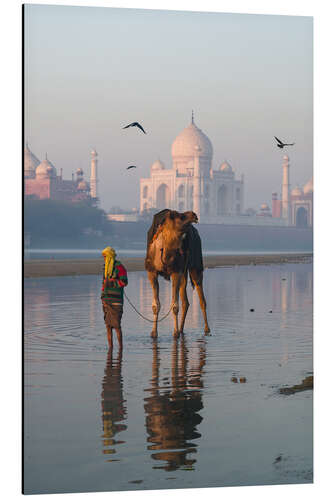 Cuadro de aluminio Taj Mahal sunrise, India
