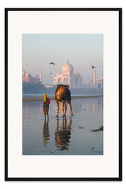 Gerahmter Kunstdruck Sonnenaufgang am Taj Mahal, Indien