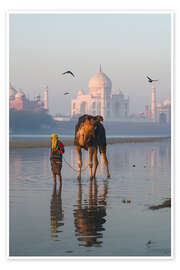 Poster Taj Mahal sunrise, India - Matteo Colombo