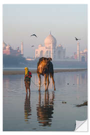 Sticker mural Taj Mahal sunrise, India