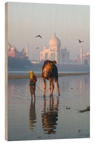 Tableau en bois Taj Mahal sunrise, India