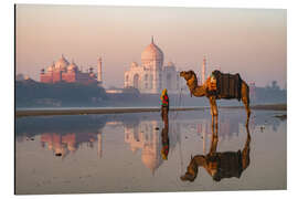 Magnettafel Kamel vor dem Taj Mahal, Indien