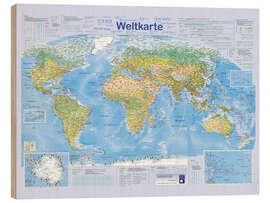 Trebilde World map 2024 (German)