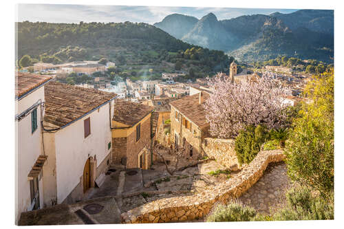 Acrylic print Bunyola at almond blossom, Mallorca