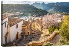 Canvas print Bunyola at almond blossom, Mallorca