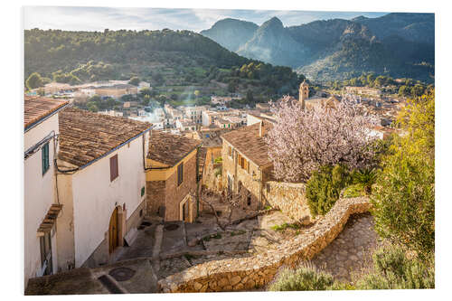 Bilde på skumplate Bunyola at almond blossom, Mallorca