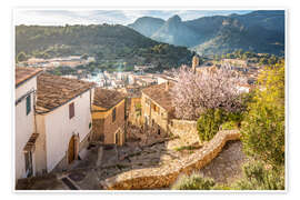 Plakat Bunyola at almond blossom, Mallorca