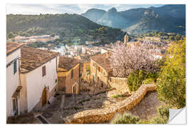 Sticker mural Bunyola at almond blossom, Mallorca