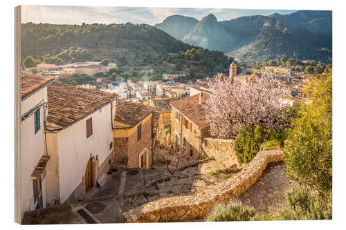 Wood print Bunyola at almond blossom, Mallorca