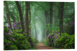 Akrylbilde Rhododendrons in a foggy forest