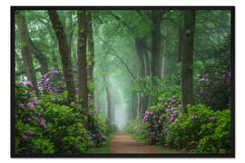 Gerahmter Kunstdruck Rhododendren in einem nebligen Wald