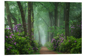 Obraz na PCV Rhododendrons in a foggy forest