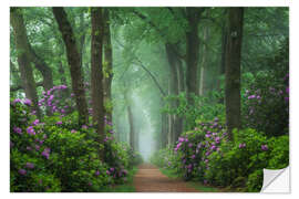 Selvklebende plakat Rhododendrons in a foggy forest