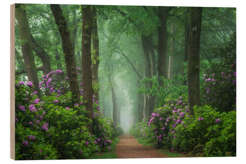 Holzbild Rhododendren in einem nebligen Wald