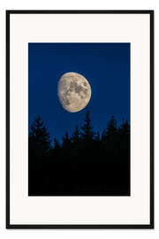 Gerahmter Kunstdruck Mond über Bäumen