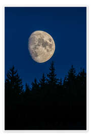 Poster Moon over trees