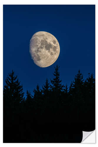 Sisustustarra Moon over trees