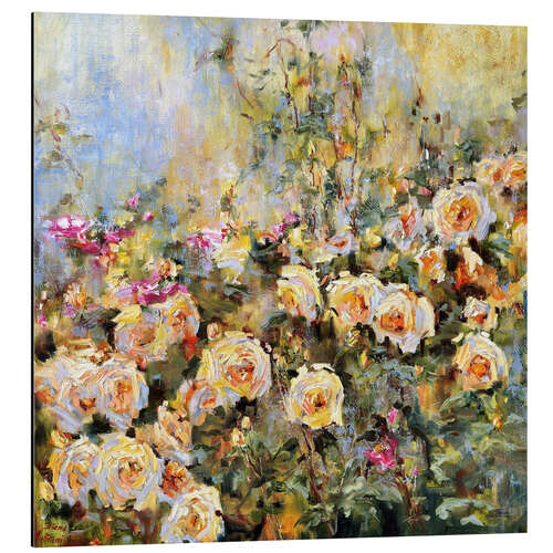 Aluminium print Tea Roses